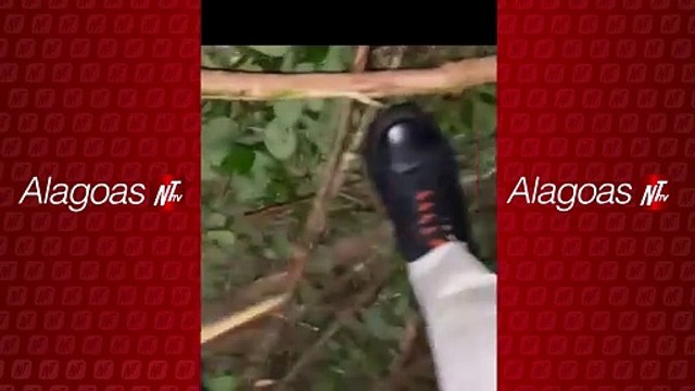 Acidente com caminhão baú interdita BR 101 em Flexeiras