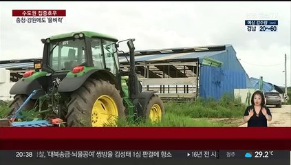 번개와 강풍 동반한 물벼락…충청·강원 피해 잇따라