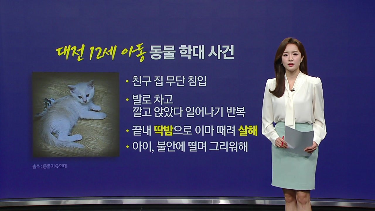 "딱밤 때려 죽였어요" 초등생 동물 학대 충격...동물자유연대, 법적 처분 기준 마련...