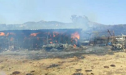 Çanakkale’nin Ayvacık ilçesinde tarım arazisinde yangın