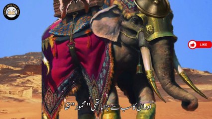 THE STORY OF ASHAB -UL-FEEL | اصحاب الفیل کا قصہ | QURANIC STORY | MORAL STORY