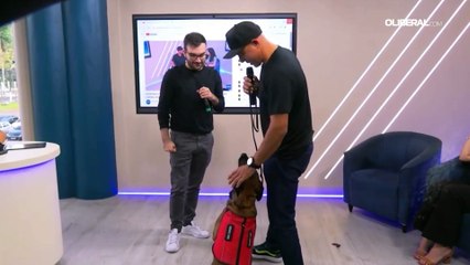 ADESTRADOR MOSTRA COMO UM CÃO PODE AJUDAR EM CASO DE MAL SÚBITO