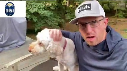 All-Star 2024 Preview: Grizzlies vs Magic – Key Matchup Insights 🏀