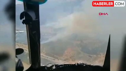 İzmir Selçuk'ta Orman Yangını