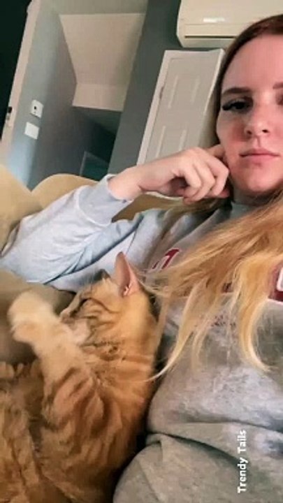 Adorable Cat and Cat Owner