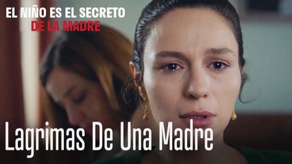 Lagrimas De Una Madre