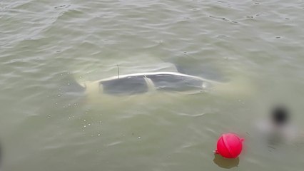 전남 고흥군 포구서 승용차 추락...운전자 심정지 / YTN