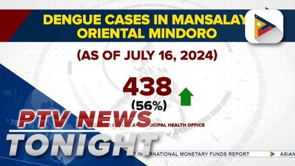 Mansalay in Oriental Mindoro under state of calamity due to dengue outbreak