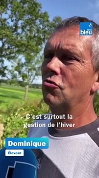 Les agriculteurs du marais de Brière ont les pieds dans l'eau