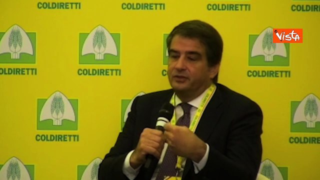 Fitto: Le politiche ambientali siano pi? flessibili per la competitivit? delle imprese