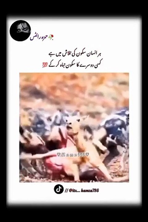 1000003989