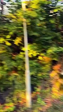 6AD8E447-A097-4915-A9BD-868A78D6D81E