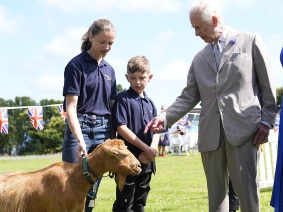 Seltene Ziegenrasse erhält Adelstitel von König Charles III.
