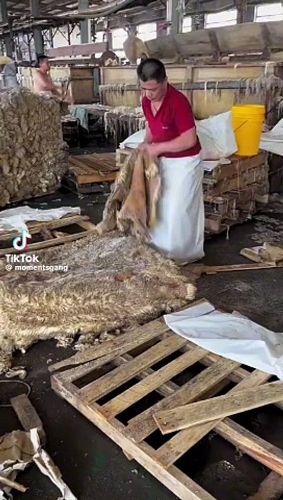 this is how luxury blanket are made