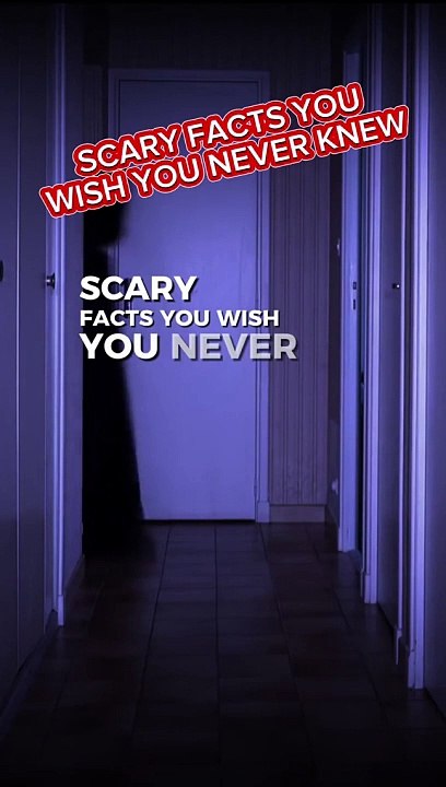 Terrifying Facts That Will Haunt Your Dreams  The Last One Is Unthinkable!