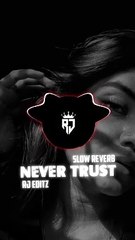 Never_Trust_[Slowed+Reverb]_Punjabi_Song720p