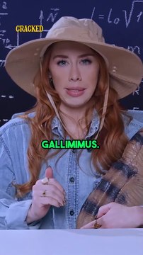 We Figured Out How Much It Would Cost To Run Jurassic Park | MOVIE MATH