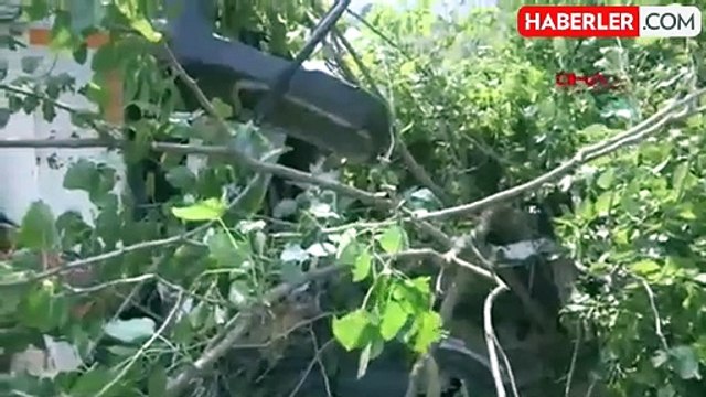 Tokat'ın Erbaa ilçesinde freni boşalan kamyon yol kenarındaki ağaçlara çarptı, 2 kişi yaralandı