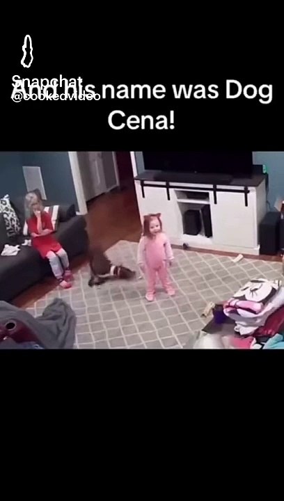 Cena DOG
