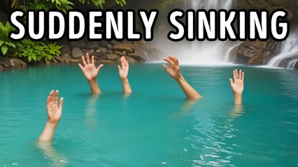 Avoid These Dangerous Mistakes When You Encounter Jellyfish 🐙