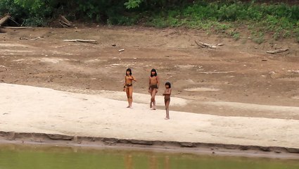 Uncontacted tribe threatened by expanding logging activities seen in new video
