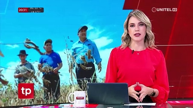 Bolivia dejará de percibir $us 600 millones porque se dejaron de producir más de 2 millones de toneladas de granos, según Anapo