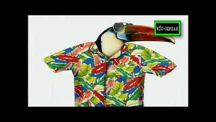 Animales Asombrosos: Animales acróbatas - Documental (1996) Español Latino