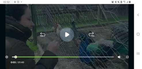 Feeding Peacock, Dancing Peacock.