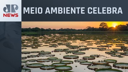 Pantanal tem 56% dos focos de incêndio extintos