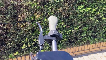 Patineta Electrica Alemana Paul 2023