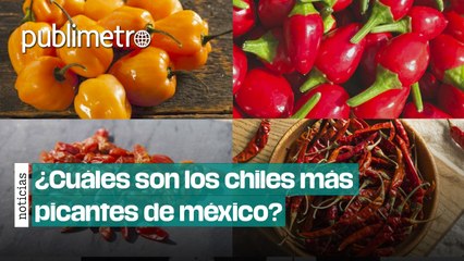¿Cuáles son los chiles más picantes de México?
