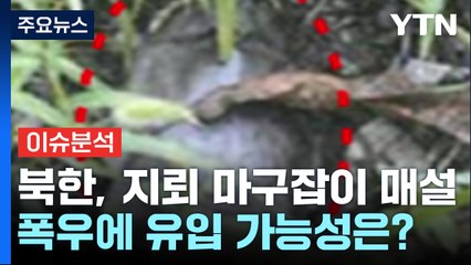 [뉴스퀘어10] 북한 '나뭇잎 지뢰' 주의보...폭우에 떠내려오면 어쩌나? / YTN