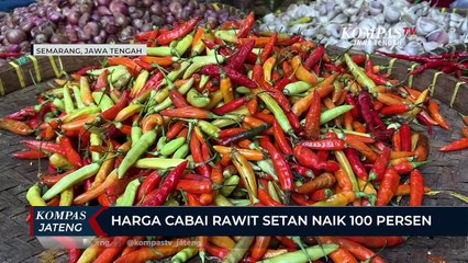 Harga Cabai Rawit Setan Naik 100 Persen