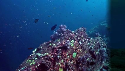 dark secrets of the deep sea