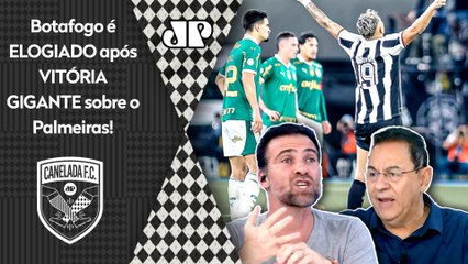 "ELE FOI UM MOLEQUE! Mas o Botafogo TÁ SIM MOSTRANDO que..." VITÓRIA sobre o Palmeiras é ELOGIADA!