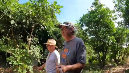 Spaziergang mit Dietrich  #thailand2023  #auswandern  #gästehaus  #ausgewandert #erfahrungen