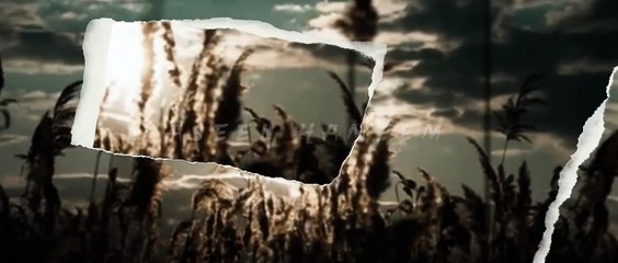 اصيل هميم   من كثر حبي لك  2024