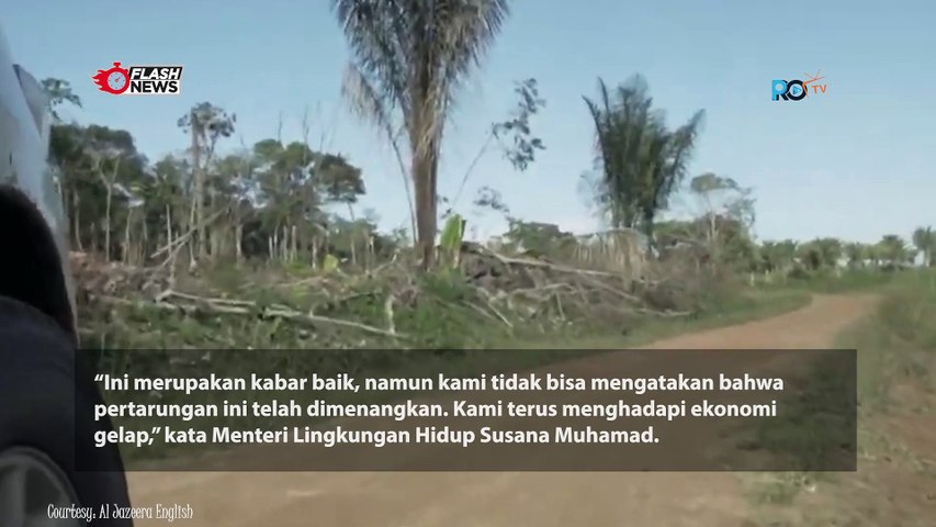 Deforestasi Hutan Di Kolombia Turun Ke Titik Terendah Dalam Sejarah