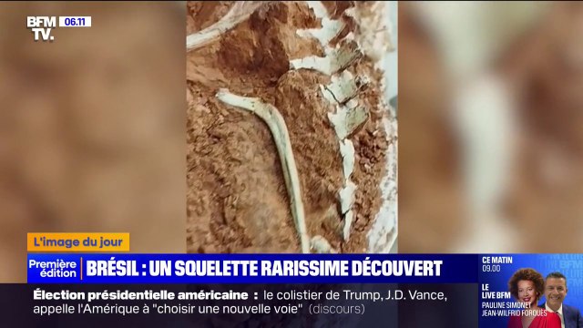 Brésil: des archéologues découvrent un squelette de dinosaure qui aurait 233 millions d'années
