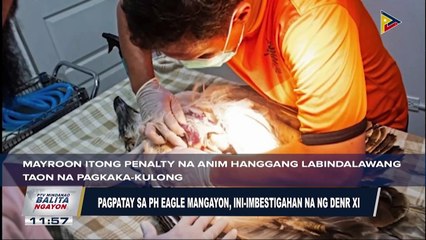 Pagpatay sa PH eagle, iniimbestigahan na ng DENR XI