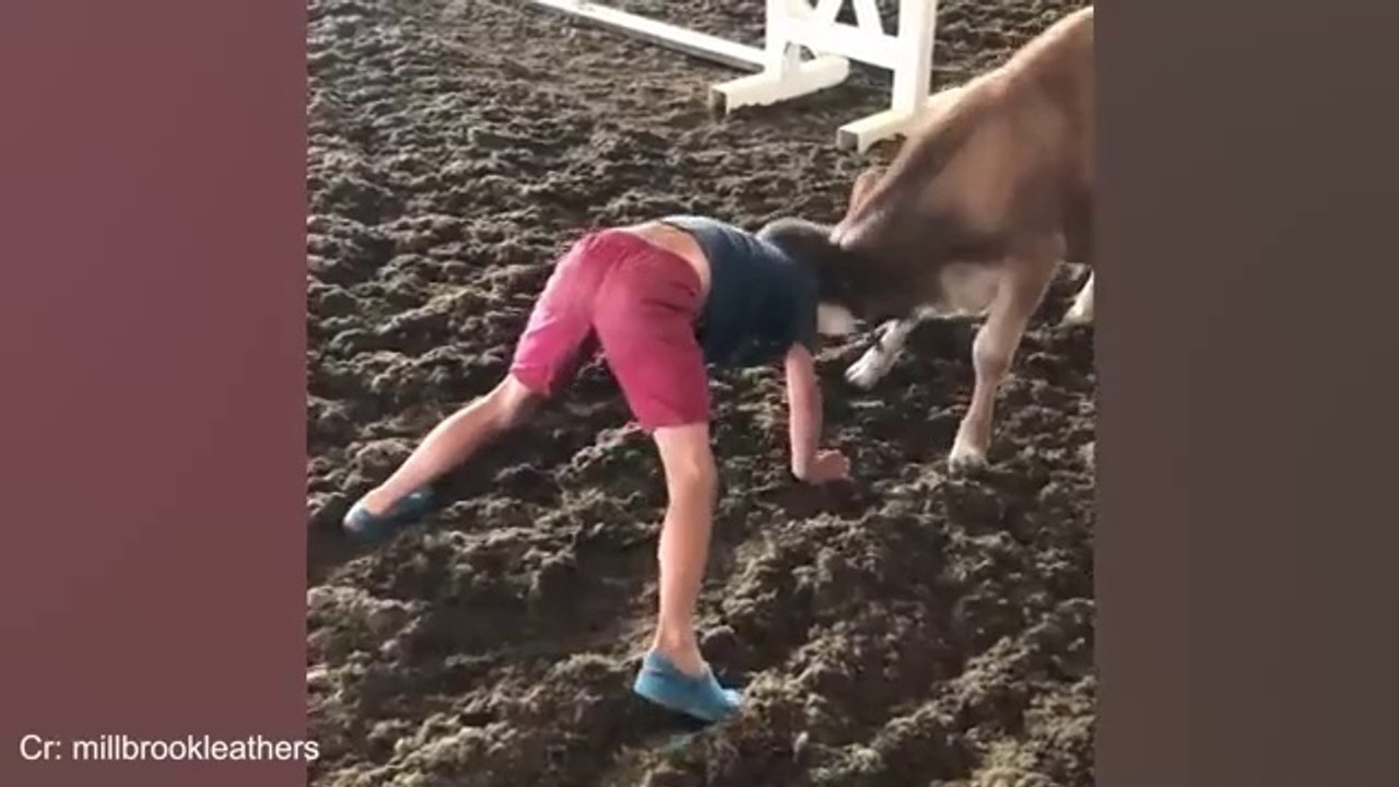 Funny_ANIMAL_Videos||Teaches|Us_What_Love_s_All_About||Best comedy Videos