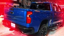2024 Chevrolet Silverado 1500 LT Z71 Trail Boss