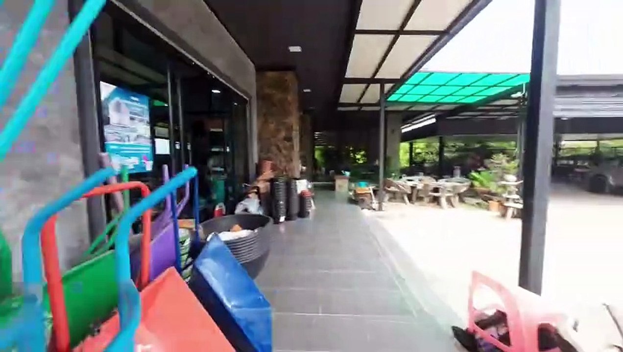 Der ganz normale Wahnsinn #vlog #farmleben  #teich #thailand2022  #Gartenteich #auswandern