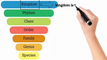 taxonomic hierarchyin Urdu Hindi | Lecture # 2 | Biodiversity | chapter # 3 | 9th class Biology