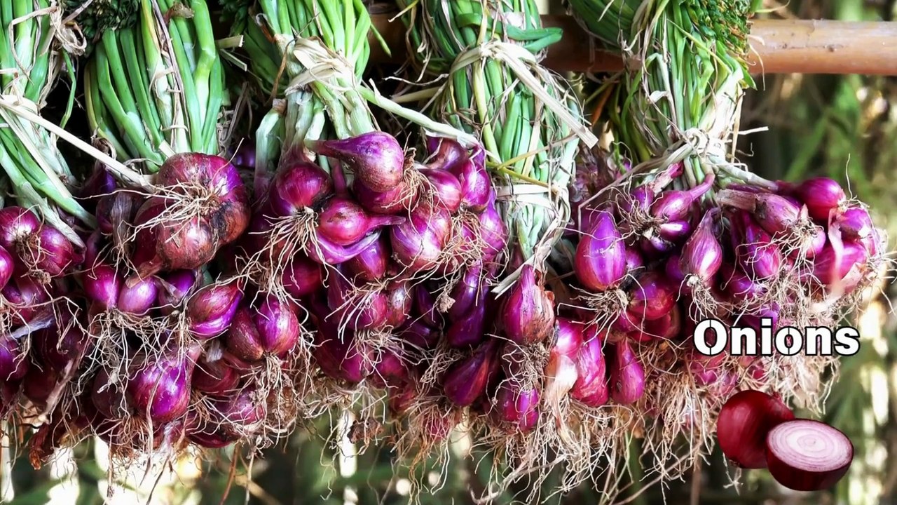 ABC Learning New Song, O is for Onion  Fun ABC Learning for Kids  Educational Vegetable Song