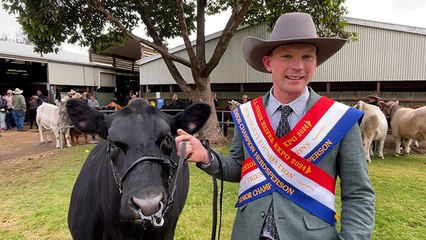 Oscar Golding wins SA Junior Heifer Expo | Stock Journal