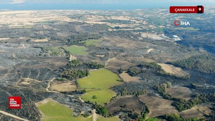 Çanakkale'de küle döndü yeniden yeşerdi
