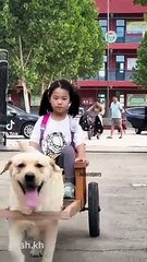 Little girl going home on her dog car