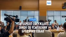 Парламент Турции обсуждает законопроект об усыплении бродячих собак