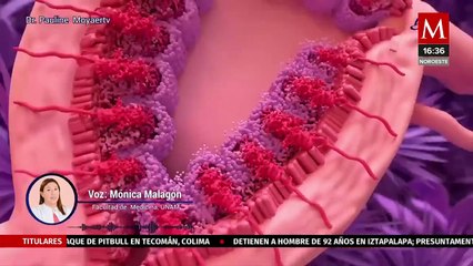 La falsa creencia del fin de la vida sexual con la llegada de la menopausia